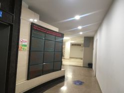 -上海交通大学医学院附属上海儿童医学中心(陆家嘴总院区)