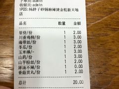 账单-金陵杨胖子·砂锅麻辣烫(金轮新天地店)