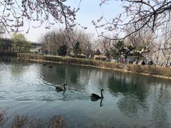 -长白岛森林公园