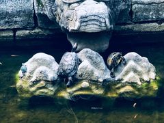 -大觉寺-停车场