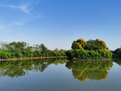 -大湾区中央湿地公园