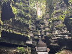 -梭布垭石林景区