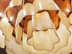 -金鼎轩(方庄店)