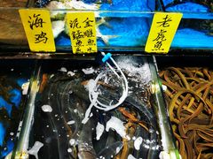 -珠光市场(文德南路)