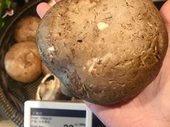 -Olé精品超市(广州太古汇店)