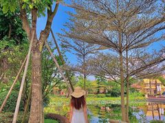 -恒大世纪梦幻城