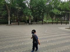 -大兴滨河森林公园