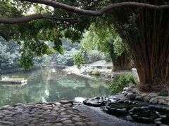 -成都市活水公园