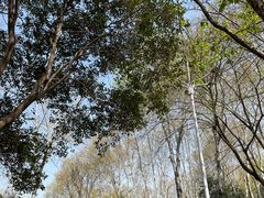 -西安市长乐公园