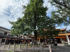 -溪口-滕头旅游景区