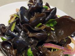 -蝎王府羊蝎子(天通苑店)