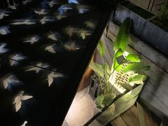 -宿醉·意大利餐厅(忠义街店)