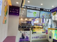 -一只酸奶牛(洪崖洞11楼店)
