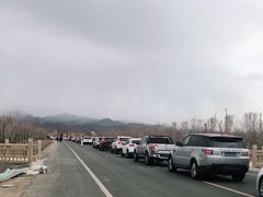 -新疆天山野生动物园