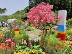 -深圳仙湖植物园