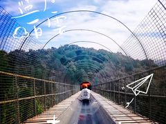 -八大处公园