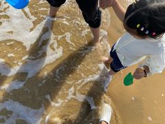 -日照海滨国家森林公园