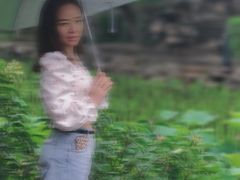 -莲湖公园