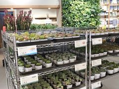 -鹿岛会员店 (龙湖三千集天街店)