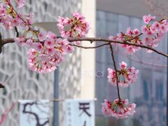 -静安雕塑公园