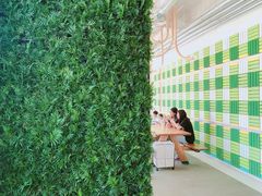 -Green Option(官舍店)