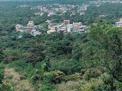 -海口火山口国家地质公园