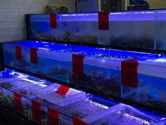 水产区-金海湾海鲜排档(朱家尖店)