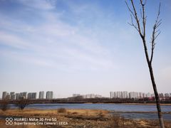 -哈尔滨大剧院