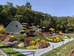 -上海共青森林公园