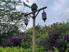 -碧桂园润杨溪谷温泉酒店