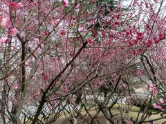 -白塘生态植物园