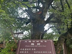 -大理文庙(大理古城)