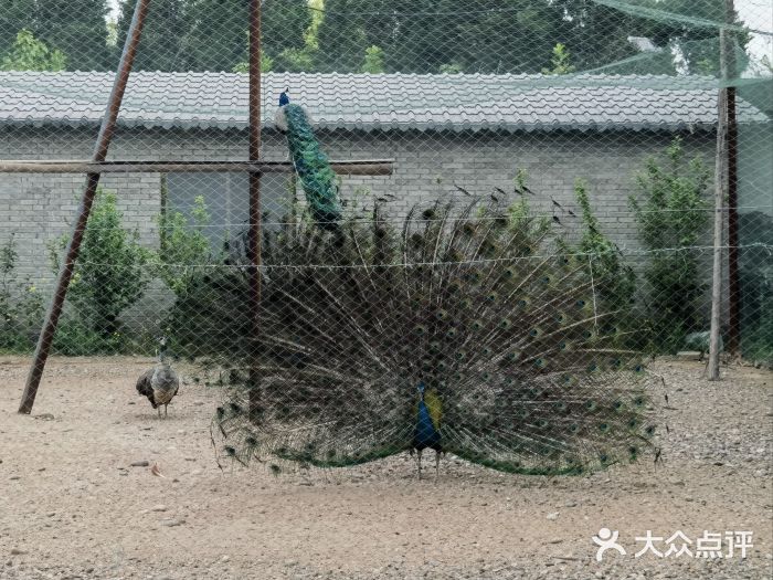 西部兰花园生态园图片