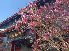 -天津大悲禅院