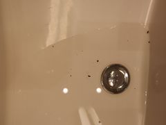 -三亚湾红树林度假世界(木棉酒店)