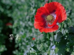 -国家植物园南园