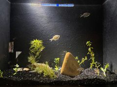 -上海海洋水族馆