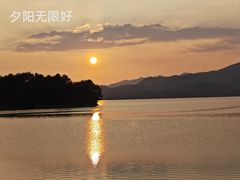 -宝荣鱼馆·临湖之宴(千岛湖店)