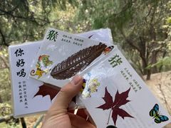 -香山公园