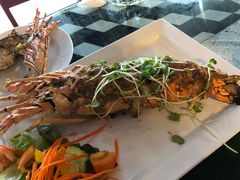 -Onion restaurant