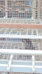 -PIPIKINGDOM皮皮王国欢乐号(欢乐海岸购物中心店)