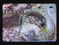 -酷嗒动物文化乐园(cutezoo西溪乐天城店)