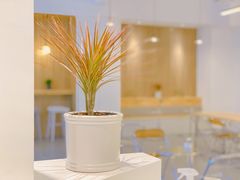 -香草山咖啡店·外教英语角·自习室(盛世商都店)