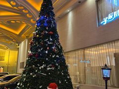 -白金汉爵大酒店·中餐厅(相城店)