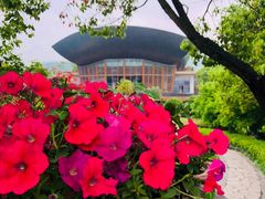 -宁波九龙湖开元度假村