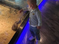 -昆明大悦城未来动物城(螺蛳湾中心店)