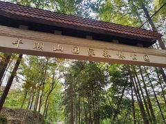 -午潮山国家森林公园