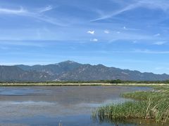 -野鸭湖国家湿地公园