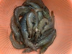 -盒马鲜生(杨高南路店)