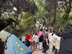 -南岳衡山风景名胜区